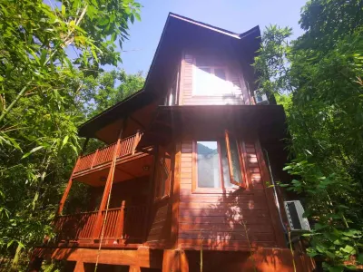 Wulong River Chalet 윈시 호텔