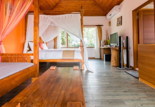 Bali Hostel 이미지