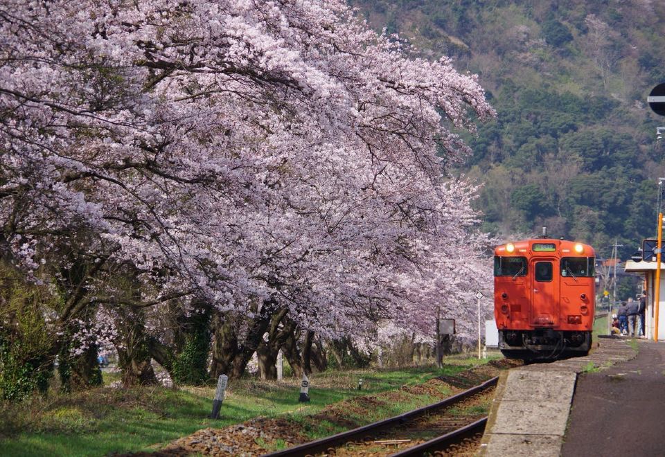 1. 야도-시온테이..