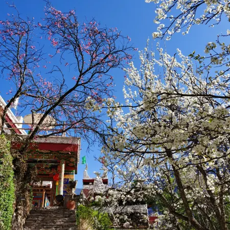 Fengzaijiaju Jingsu Shufang Hotel