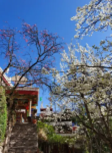 Fengzaijiaju Jingsu Shufang Hotel