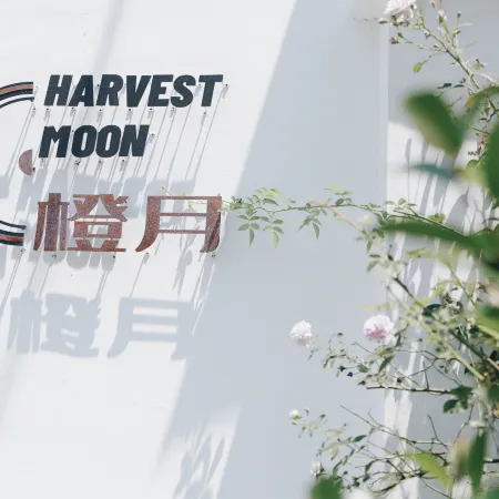 Harvestmoon Vinyl Record Villa