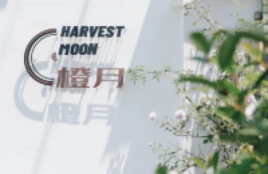 Harvestmoon Vinyl Record Villa