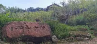 合江半山雲舍