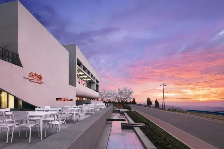 Mountain Art Hotel Отели в г. Синьми