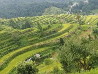 Dongshe Inn Hotels in Liping