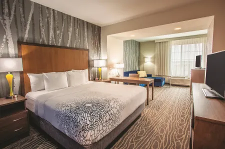 La Quinta Inn & Suites by Wyndham Duluth Отели в г. Дулут