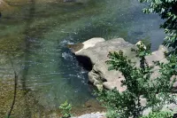 Shanyuxi · Natural Tea Healing Private Hot Spring & Mountain Spring Homestay - Water Park