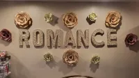 Inn of the Dove Romantic Luxury Suites with Jacuzzi & Fireplace at Harrisburg-Hershey, PA Hotels in Susquehanna Township