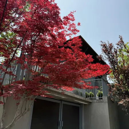 Yingying Mountain House B&B