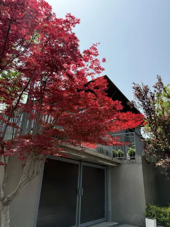 Yingying Mountain House B&B Отели в г. Синьми