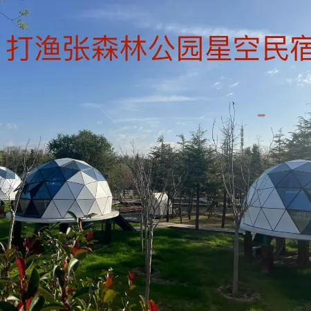 Dayu Zhang Forest Park Starry Sky Homestay