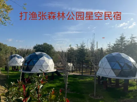 Dayu Zhang Forest Park Starry Sky Homestay