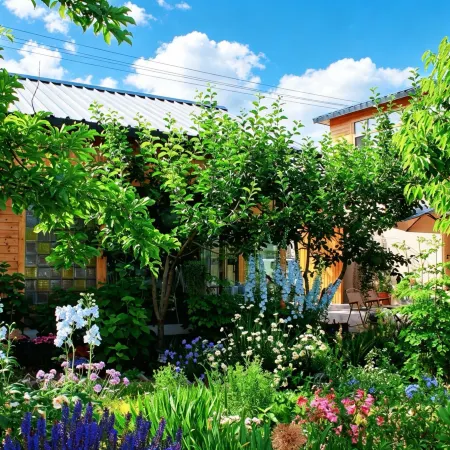 Tekes Qianshan Xiao Homestay