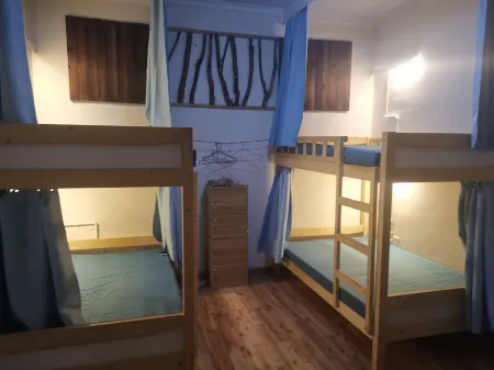 The moonbirds hostel