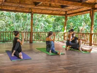 Our Jungle Camp Hotels in Phanom