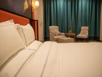 拉萨岷山圣瑞斯酒店 - 弥散式供氧豪华大床房