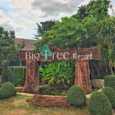 Big Tree Resort Hotel Exterior