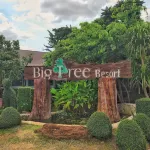 Big Tree Resort Hotel dekat Wat Wang Yang Wanaram