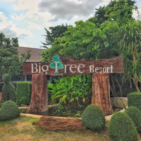 Big Tree Resort
