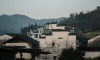 婺源青瓦宅民宿 大鄣山臥龍谷附近的飯店