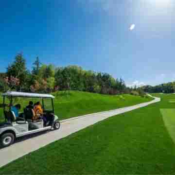 欒川一樹一花民宿(鸞州大道分店) Fitness & Recreational Facilities