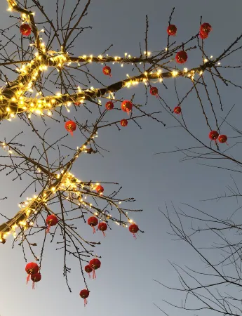 Fuxian Lake Xianqingyizhi Hotel Отели рядом с достопримечательностью «Fuxian Lake Shijia Cherry Blossom Garden»