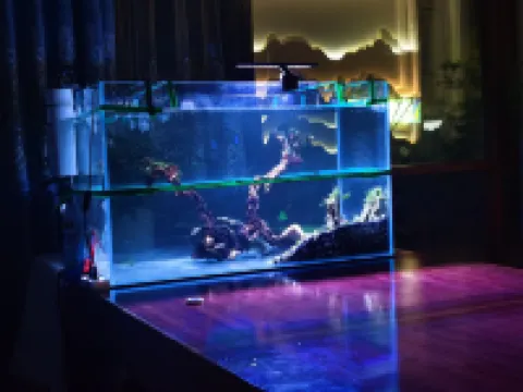 Shiping Hongrun Hotel