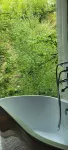 Walnut Tree Soup Spring Homestay - vasca da bagno