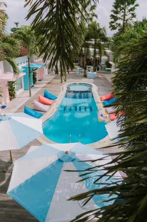 MAD Monkey Kuta Lombok