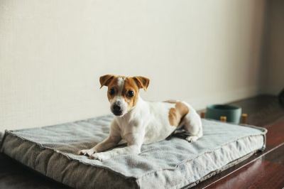 その他 ホテルジャパネスク福岡の写真