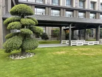 Mille Navigation Hotel