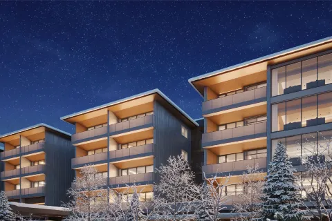 Hotel la Vigne Hakuba by Onko Chishin