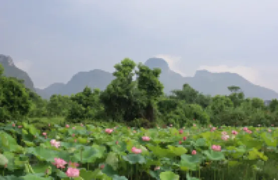 Runhua Homestay