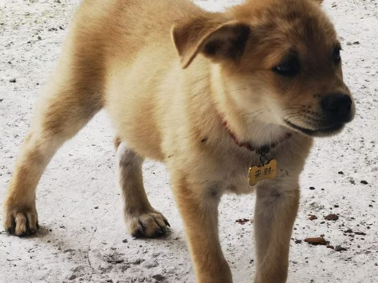 嵊州祥瑞·溪隱民宿優惠