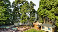 Bamboo Grove Courtyard Hainan's Home Homestay - 2 Sao
