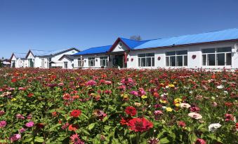 Jiayin Birch and Lilac Homestay