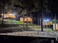 崇州最爱游缘道院子度假营地 - 森林球形帐篷房