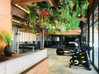 Xiansu - Gym