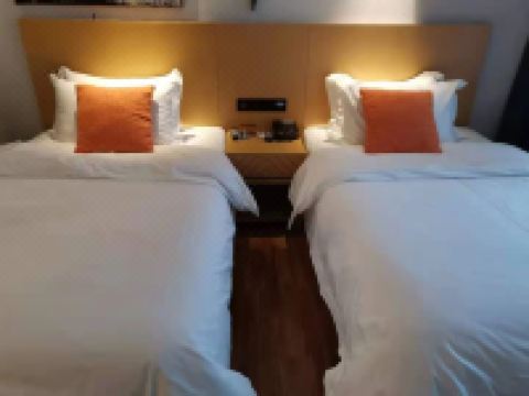 桐柏金凯悦精致酒店 - 其他