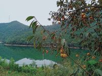 千岛湖畔山庄 - 大床房