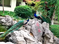 Shungeng Manor Hôtels à : 