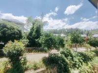 Jinggangshan Mountain Family Style Courtyard Hotels near Hongsijun Huishi Square