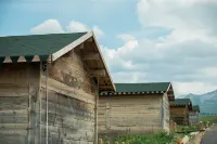 Joan Kushtai Simei Camp Hotels near Kalajun National Park