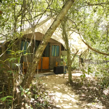 Explorer by Eco Team - Dambana