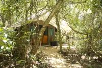 Explorer by Eco Team - Dambana