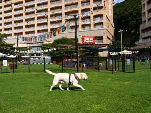 Sono Pet Clubs & Resorts VivaldiPark
