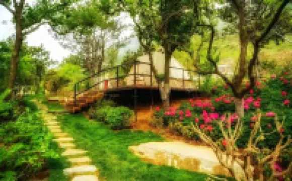 空谷花園星空帳篷營地