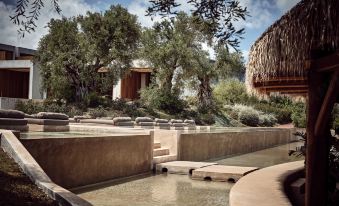 Olea All Suite Hotel, a Member of Design Hotels