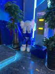Rex Kings E-sports Hotel - E-sport